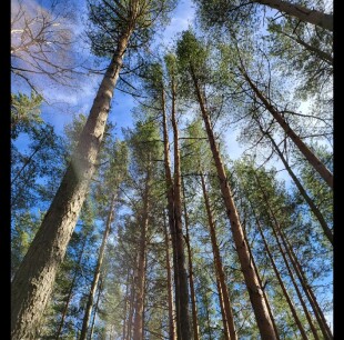 Будем помнить. Без громких слов